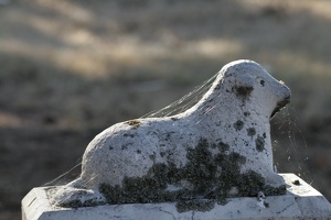 Aging Tombstone